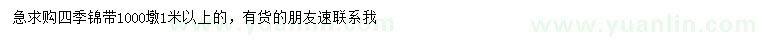 求購1米以上四季錦帶