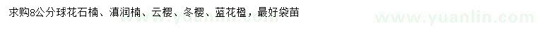 求購石楠、滇潤楠、云櫻等