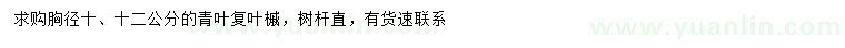求購(gòu)胸徑10、12公分青葉復(fù)葉槭