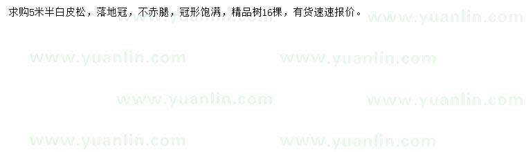 求購5.5米白皮松