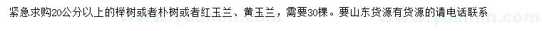 求購櫸樹、樸樹、紅玉蘭等