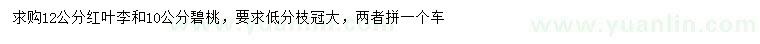 求購12公分紅葉李、10公分碧桃