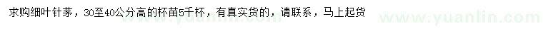 求購(gòu)高30-40公分細(xì)葉針茅