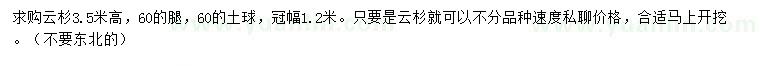求購高3.5米云杉
