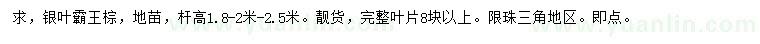求購(gòu)桿高1.8、2、2.5米銀葉霸王棕地苗