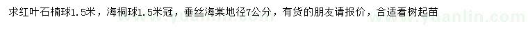 求購紅葉石楠球、海桐球、垂絲海棠