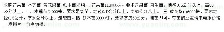 求購芒果苗、木蓮苗、黃花梨苗等
