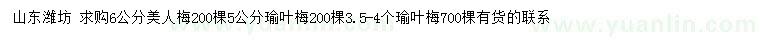 求購6公分美人梅、3.5-4、5公分瑜葉梅