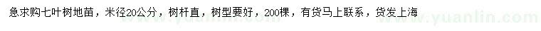 求購米徑20公分七葉樹地苗