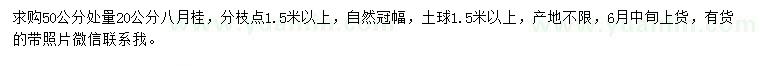 求購50公分處量20公分八月桂