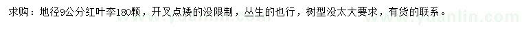 求購地徑9公分紅葉李