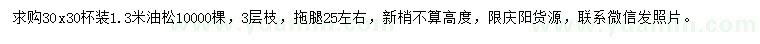 求購1.3米油松