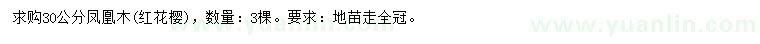 求購30公分鳳凰木