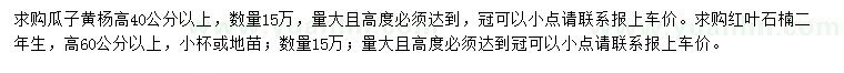 求購高40公分以上瓜子黃楊、60公分以上紅葉石楠