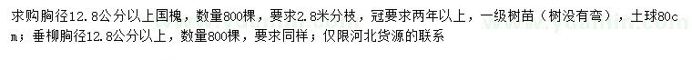 求購胸徑12.8公分以上國槐、垂柳