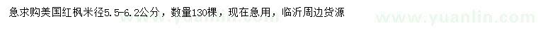 求購米徑5.5-6.2公分美國紅楓
