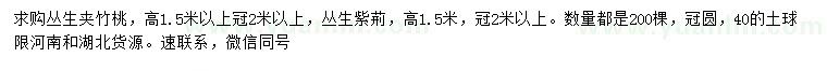 求購(gòu)高1.5米以上叢生夾竹桃、叢生紫荊