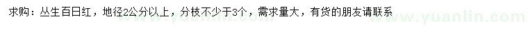 求購地徑2公分以上叢生百日紅