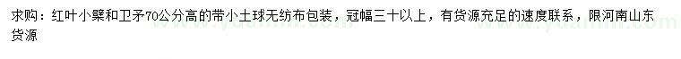 求購高70公分紅葉小檗、衛(wèi)矛