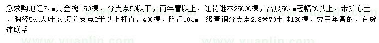求購黃金槐、紅花繼木、大葉女貞等