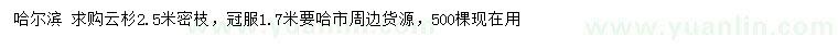 求購2.5米密枝云杉