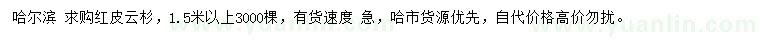 求購1.5米以上紅皮云杉