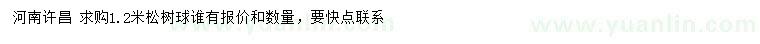 求購1.2米松樹球