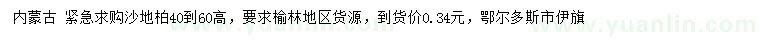 求購高40-60公分沙地柏