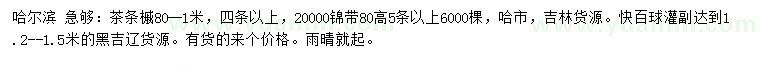 求購80-100公分茶條槭、80公分錦帶