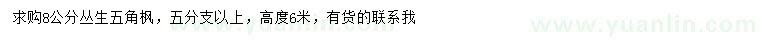 求購8公分叢生五角楓
