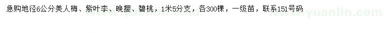 求購美人梅、紫葉李、晚攖等