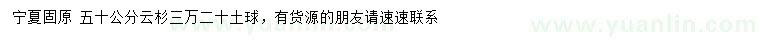 求購50公分云杉