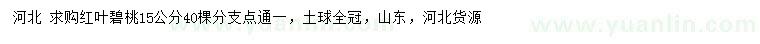 求購(gòu)15公分紅葉碧桃