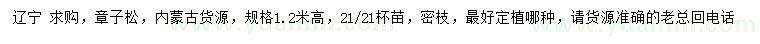 求購高1.2米章子松