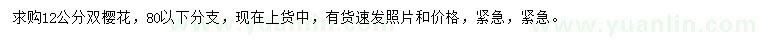 求購(gòu)12公分雙櫻花