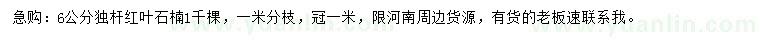 求購6公分獨桿紅葉石楠