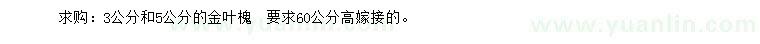 求購(gòu)3、5公分金葉槐