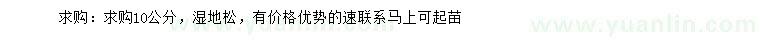 求購(gòu)10公分濕地松