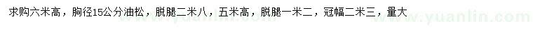 求購胸徑15公分油松