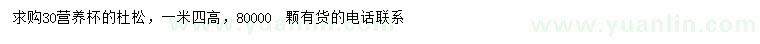 求購高1.4米杜松