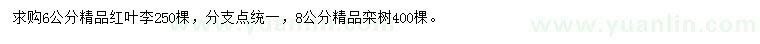 求購(gòu)6公分精品紅葉李、8公分精品欒樹