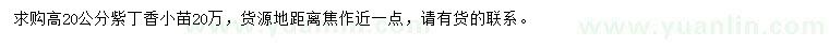 求購高20公分紫丁香小苗