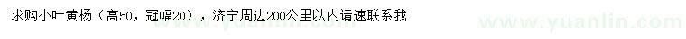 求購(gòu)高50公分小葉黃楊