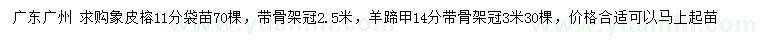 求購11公分象皮榕袋苗、14公分羊蹄甲