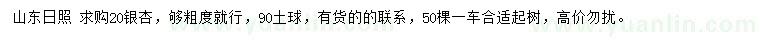 求購20公分銀杏