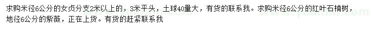 求購(gòu)女貞、紅葉石楠樹(shù)、紫薇