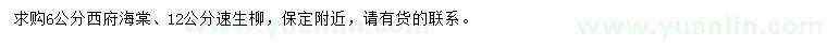 求購6公分西府海棠、12公分速生柳