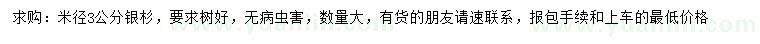 求購米徑3公分銀杉