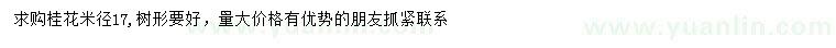 求購米徑17公分桂花