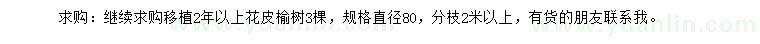 求購(gòu)直徑80公分花皮榆樹(shù)